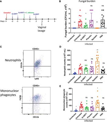 Antiviral lectin Q-Griffithsin suppresses fungal infection in murine models of vaginal candidiasis